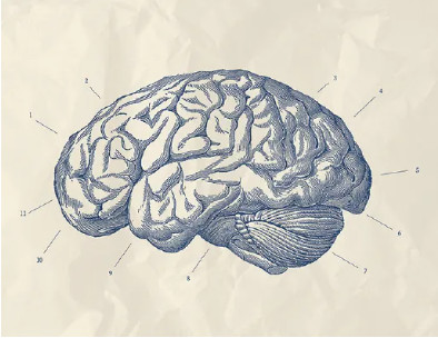 1725240908973795.jpg 20240902093403.jpg