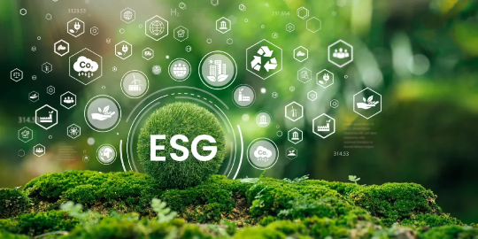 1740532902188553.png image.png